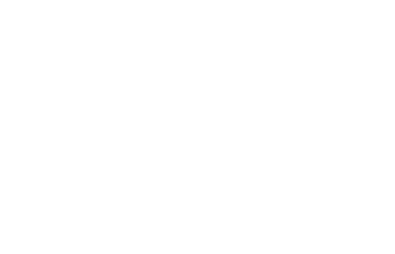Logo Cyber